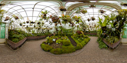 Botanischer Garten